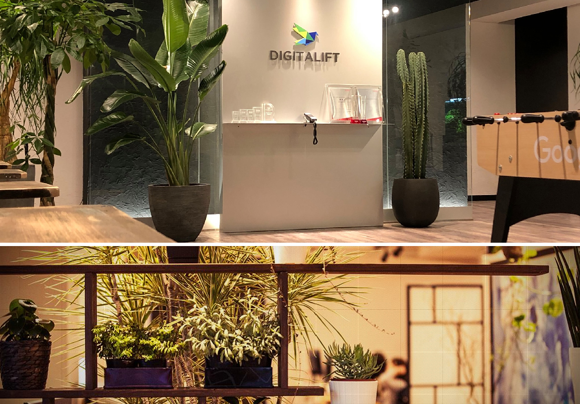 Modern workspace interior of Digitalift in Tokyo, highlighting lush greenery and the company logo on the wall, creating an inviting corporate atmosphere.